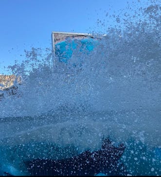 名古屋港水族館に投稿された画像（2022/2/11）