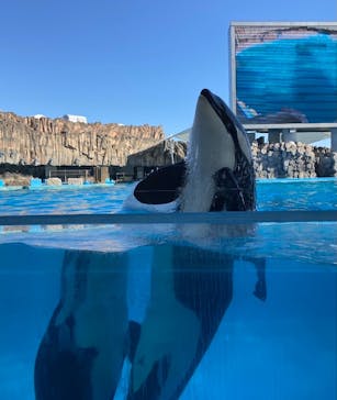 名古屋港水族館に投稿された画像（2022/2/11）
