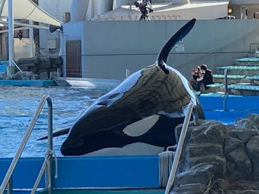 名古屋港水族館に投稿された画像（2022/2/11）