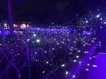 江の島シーキャンドルに投稿された画像（2022/2/11）