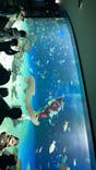 サンシャイン水族館に投稿された画像（2022/2/11）