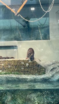 サンシャイン水族館に投稿された画像（2022/2/11）