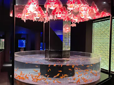 すみだ水族館に投稿された画像（2022/2/11）