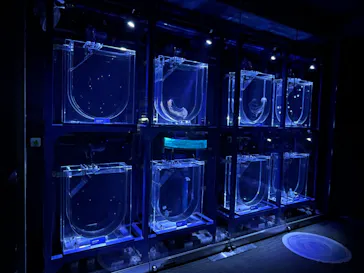 すみだ水族館に投稿された画像（2022/2/11）