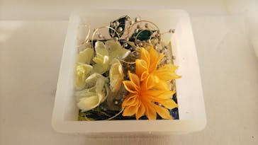 ずこうしつ〜sugamo〜に投稿された画像（2022/2/11）