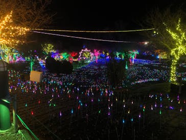 伊豆ぐらんぱる公園に投稿された画像（2022/2/11）