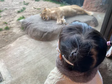 天王寺動物園に投稿された画像（2022/2/11）