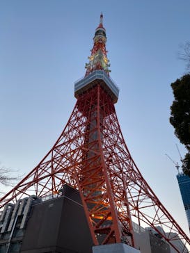 東京タワーに投稿された画像（2022/2/11）