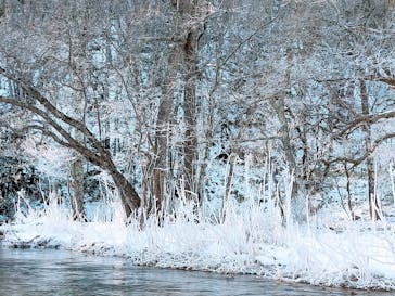 Matatabi（マタタビ）に投稿された画像（2022/2/11）