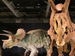 ティラノサウルス展 ～Ｔ. rex 驚異の肉食恐竜～（名古屋市科学館）に投稿された画像（2022/2/12）