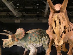 ティラノサウルス展 ～Ｔ. rex 驚異の肉食恐竜～（名古屋市科学館）に投稿された画像（2022/2/11）