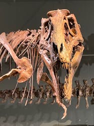 ティラノサウルス展 ～Ｔ. rex 驚異の肉食恐竜～（名古屋市科学館）に投稿された画像（2022/2/11）