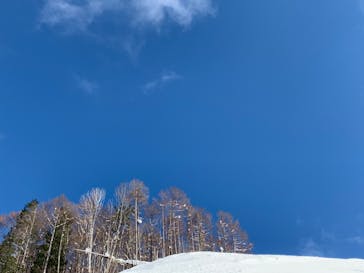 twin tree（ツインツリー）に投稿された画像（2022/2/12）