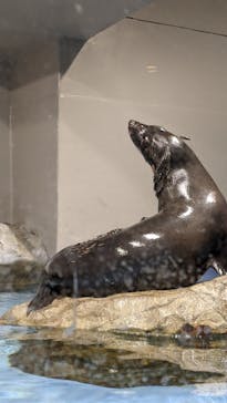 マクセル アクアパーク品川に投稿された画像（2022/2/12）