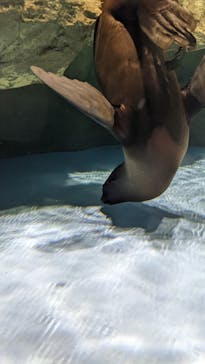 マクセル アクアパーク品川に投稿された画像（2022/2/12）