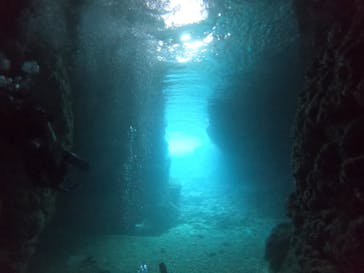 武藤潜水に投稿された画像（2022/2/12）