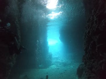 武藤潜水に投稿された画像（2022/2/12）