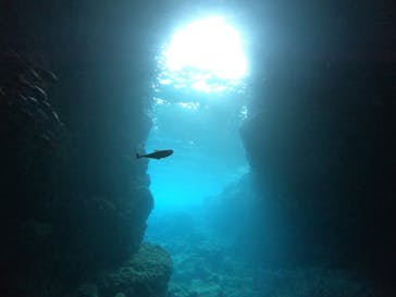 武藤潜水に投稿された画像（2022/2/12）