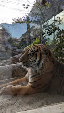 神戸どうぶつ王国に投稿された画像（2022/2/12）