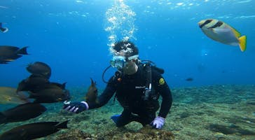 DIVING-SHOP SUNSに投稿された画像（2022/2/12）