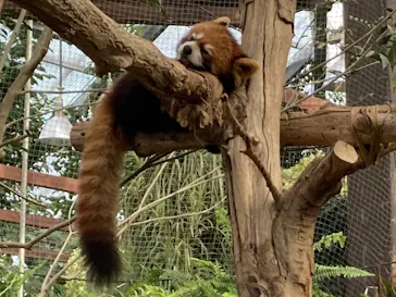 神戸どうぶつ王国に投稿された画像（2022/2/12）