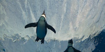 サンシャイン水族館に投稿された画像（2022/2/12）