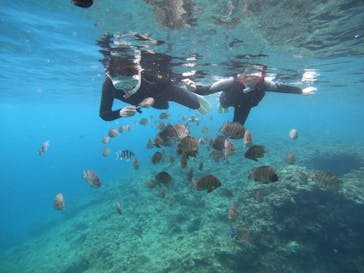 武藤潜水に投稿された画像（2022/2/12）