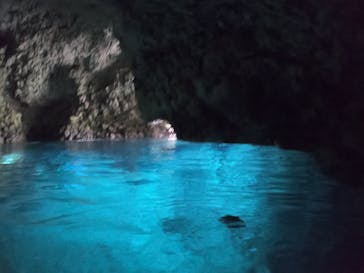 武藤潜水に投稿された画像（2022/2/12）