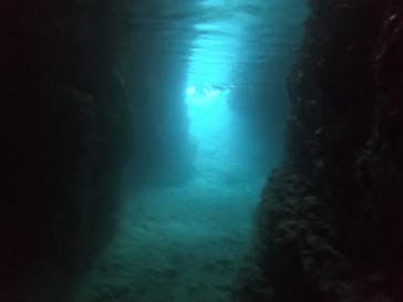 武藤潜水に投稿された画像（2022/2/12）