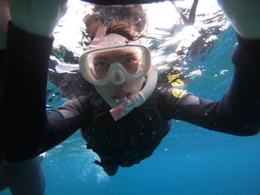 武藤潜水に投稿された画像（2022/2/12）