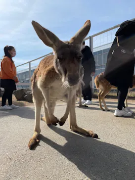神戸どうぶつ王国に投稿された画像（2022/2/12）