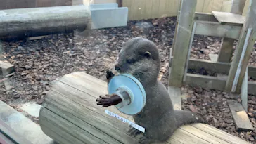 横浜・八景島シーパラダイスに投稿された画像（2022/2/12）