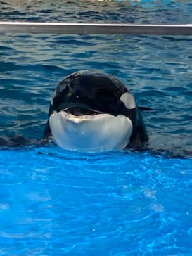 名古屋港水族館に投稿された画像（2022/2/12）