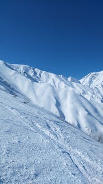 白馬八方尾根スキー場に投稿された画像（2022/2/12）