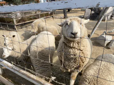 神戸どうぶつ王国に投稿された画像（2022/2/12）