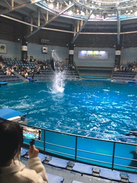 マクセル アクアパーク品川に投稿された画像（2022/2/12）