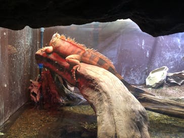 マクセル アクアパーク品川に投稿された画像（2022/2/12）