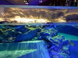 すみだ水族館に投稿された画像（2022/2/12）