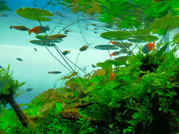 すみだ水族館に投稿された画像（2022/2/12）