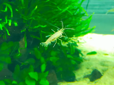 すみだ水族館に投稿された画像（2022/2/12）