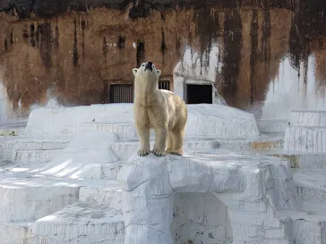 天王寺動物園に投稿された画像（2022/2/12）