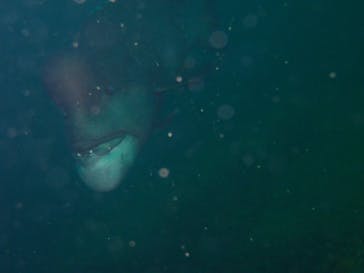 LOVE&BLUE（ラブアンドブルー）に投稿された画像（2022/2/12）