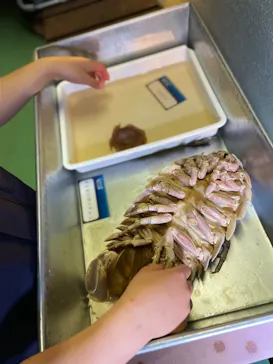 横浜・八景島シーパラダイスに投稿された画像（2022/2/12）