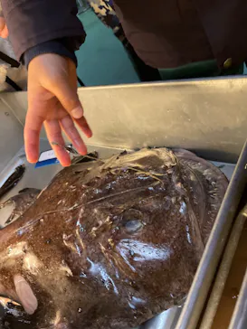 横浜・八景島シーパラダイスに投稿された画像（2022/2/12）