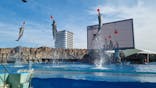 名古屋港水族館に投稿された画像（2022/2/12）