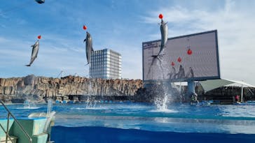 名古屋港水族館に投稿された画像（2022/2/12）
