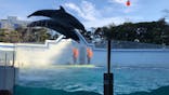 しながわ水族館に投稿された画像（2022/2/12）