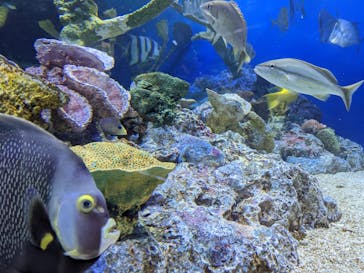 サンシャイン水族館に投稿された画像（2022/2/12）