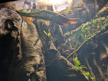 サンシャイン水族館に投稿された画像（2022/2/12）