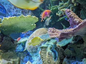 サンシャイン水族館に投稿された画像（2022/2/12）